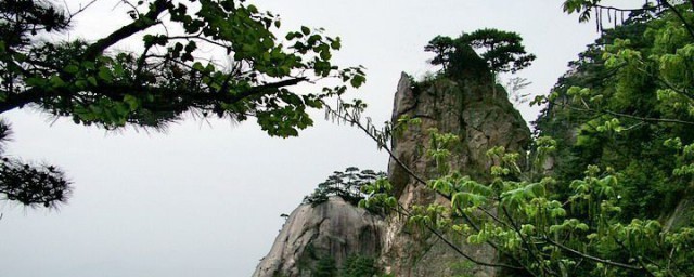 九华山在什么地方 九华山的简介
