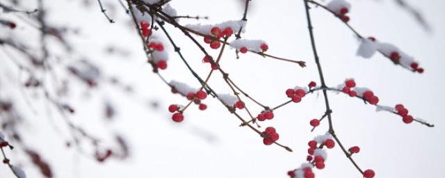 雪夜上梁山的主人公 雪夜上梁山的主人公是谁