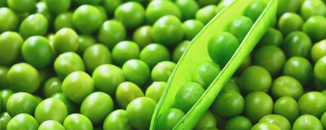 碗豆怎么储存 新鲜豌豆保鲜方法分享