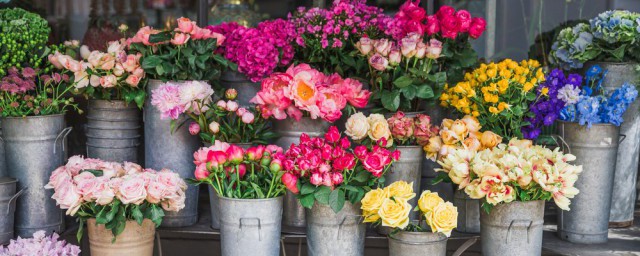 鲜花怎么保鲜 鲜花保存方法
