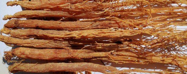 红参的功效与作用忌讳 红参的功效及忌讳有哪些