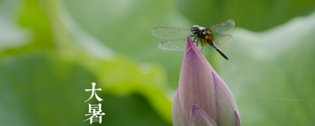 大暑节气推荐语 大暑节气推荐语有哪些