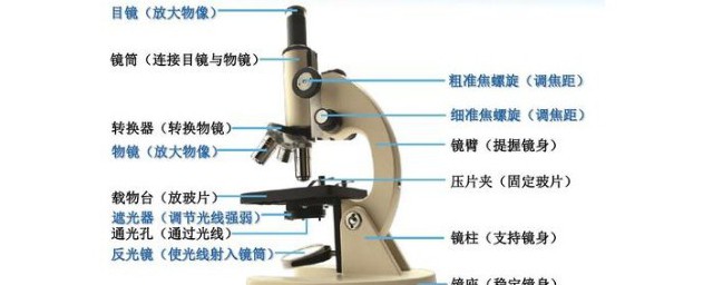 显微镜是由什么组成的 显微镜的简介