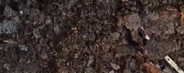 腐殖土制作过程 腐殖土制作过程是怎么样