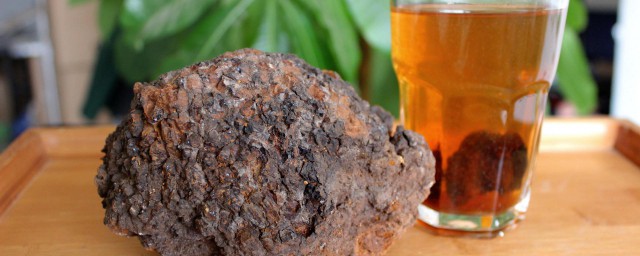 桦树茸泡水的方法 桦树茸如何泡水喝