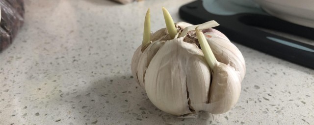 大蒜敷脚心的方法及用途 大蒜敷脚心用途和方法
