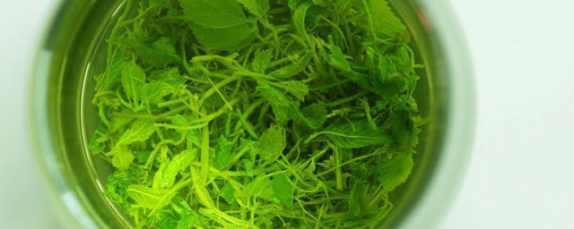 绞股蓝泡水方法 绞股蓝泡水方法是什么
