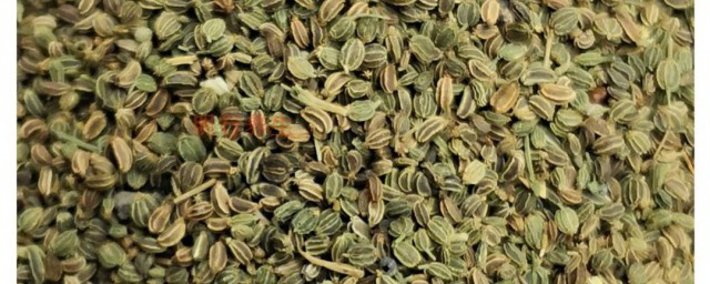 芹菜籽泡水方法 芹菜籽泡水喝做法