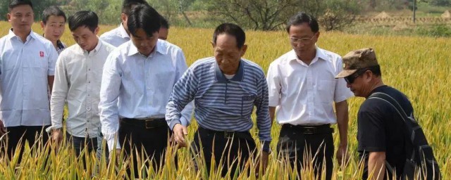 袁隆平电影 袁隆平电影介绍