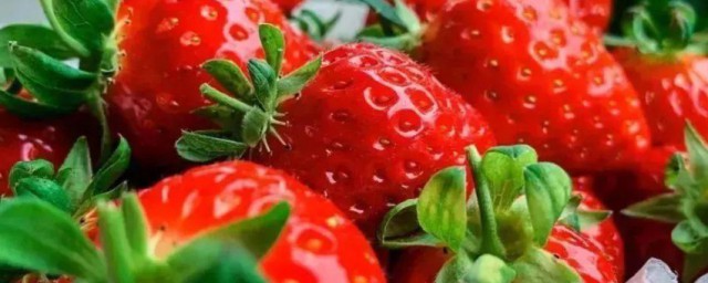 草莓叶子能吃吗 草莓叶子可以吃吗