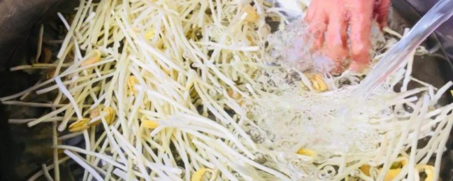 红豆能种出豆芽吗 红豆如何种豆芽