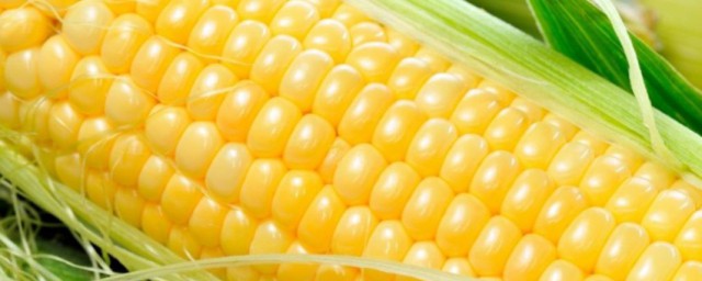 玉米可以放冰箱保鲜吗 玉米怎样保存