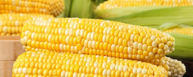 怎么储存新鲜玉米 新鲜玉米怎么储存