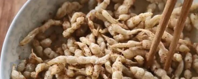 地蚕的功效与食用办法 地蚕的功效与食用要领是如何的