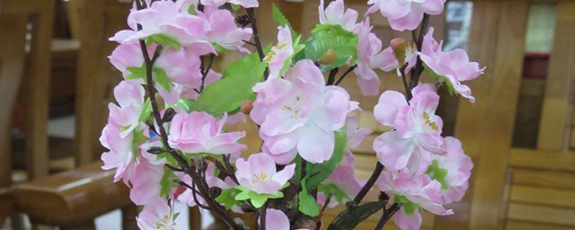 桃花盆栽养殖方法 桃花盆栽如何养护