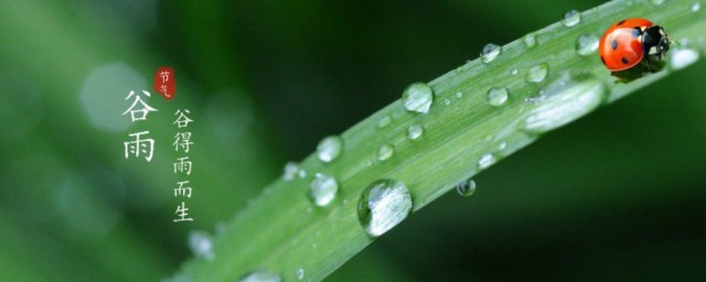 谷雨的简介 谷雨简单简介