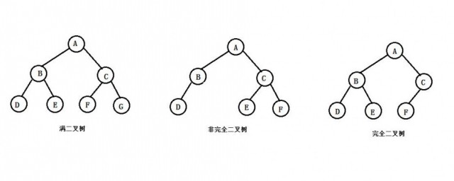 二叉树的深度是什么 二叉树的深度的解释