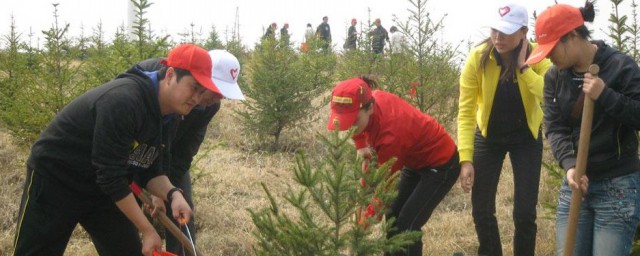 植树节的习俗是什么 植树节简单介绍