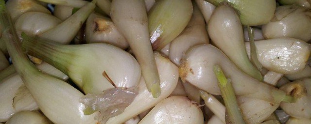 甜藠头的家常腌制方法 甜藠头的家常腌制怎么做