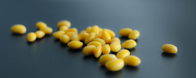 黄豆怎么种植方法 如何种植黄豆