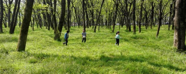 清明节踏青吗 清明节简介