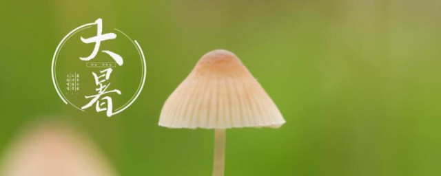 大暑节气的含义 大暑节气的简介