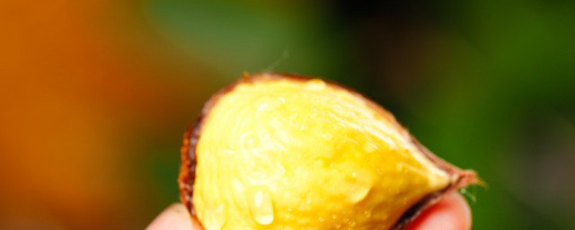栗子怎么储存冷冻吗 生栗子可以放在冰箱冷冻储存吗