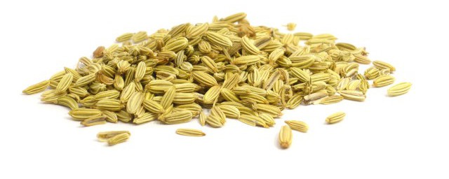 茴香的功效与作用忌讳 茴香有什么功效与作用