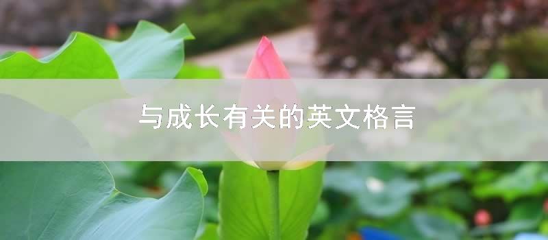 与成长有关的英文格言