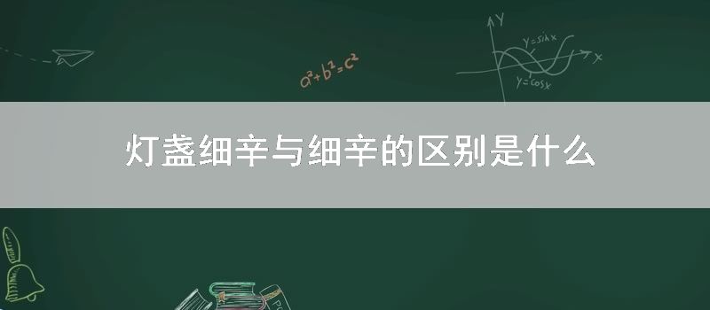 灯盏细辛与细辛的区别是什么