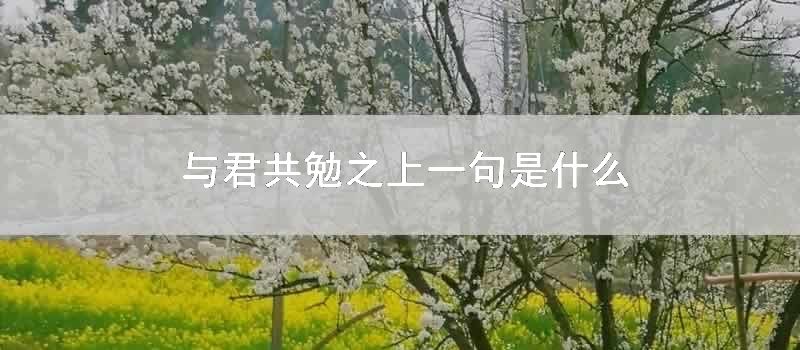 与君共勉之上一句是什么