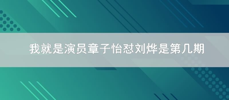 我就是演员章子怡怼刘烨是第几期