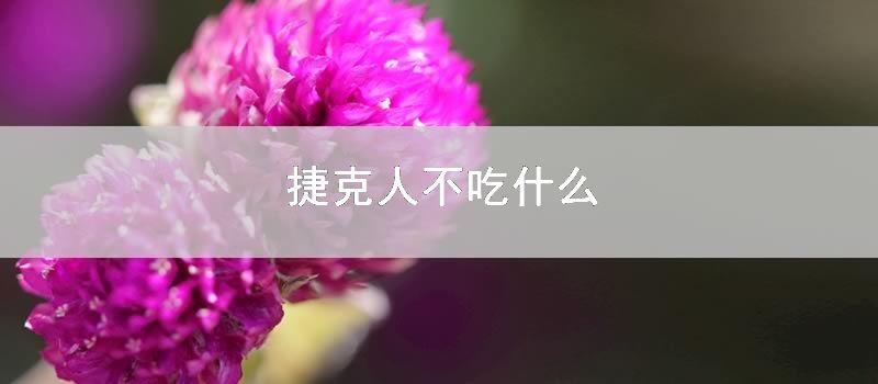 捷克人不吃什么