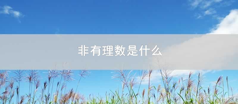 非有理数是什么