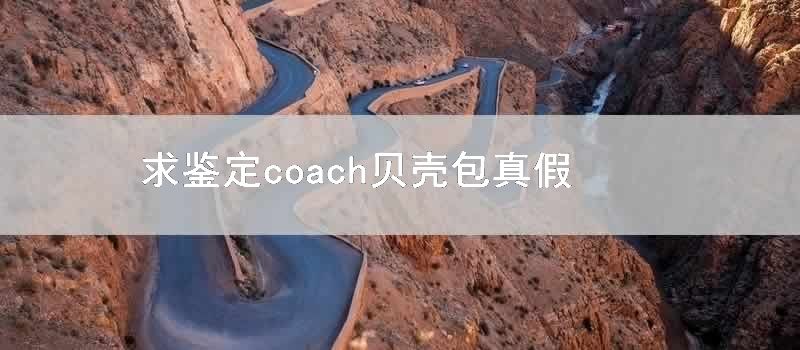 求鉴定coach贝壳包真假