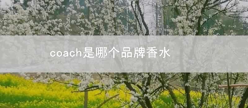 coach是哪个品牌香水