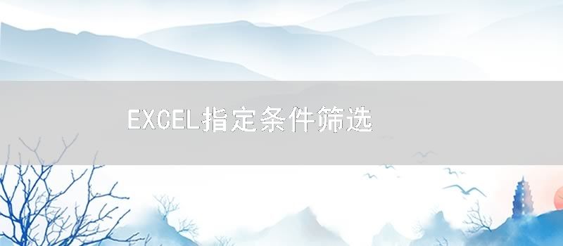 EXCEL指定条件筛选