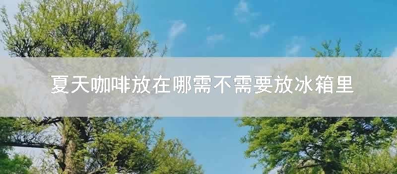 夏天咖啡放在哪需不需要放冰箱里