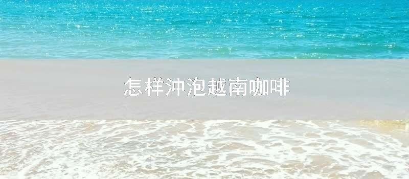 怎样沖泡越南咖啡