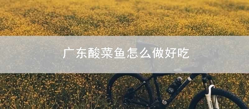 广东酸菜鱼怎样做好吃