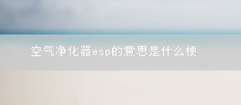 空气净化器esp的意思是什么梗