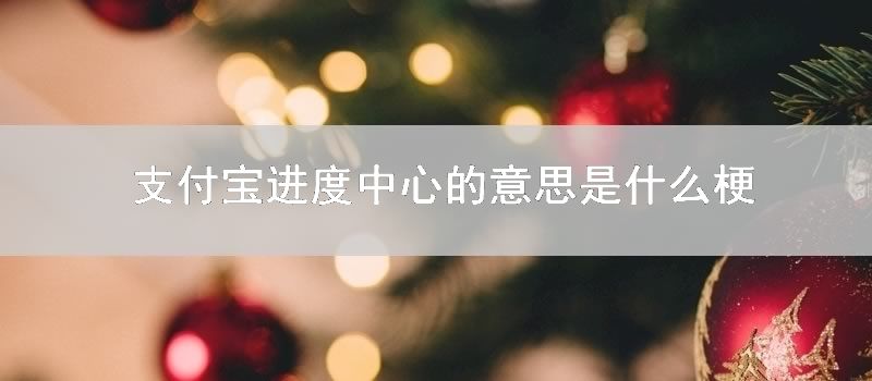 支付宝进度中心的意思是什么梗