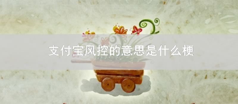 支付宝风控的意思是什么梗