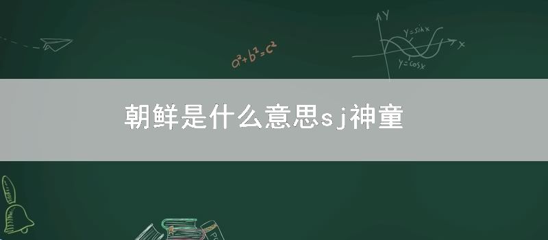 朝鲜是什么意思 sj神童