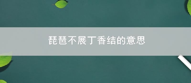 琵琶不展丁香结的意思