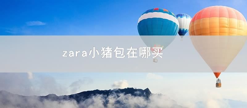 zara小猪包在哪买