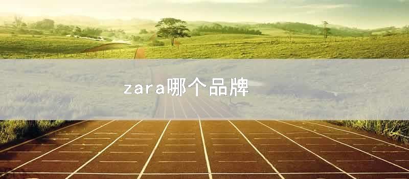 zara哪个品牌