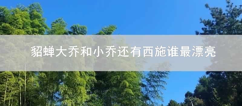 貂蝉大乔和小乔还有西施谁最漂亮