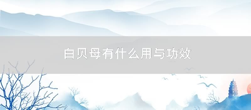 白贝母有什么用与功效