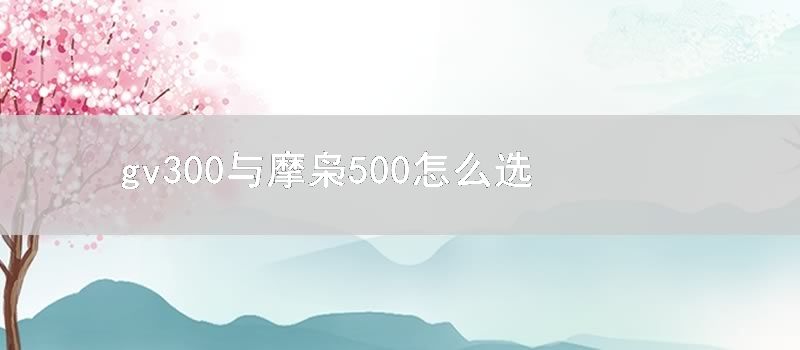 gv300与摩枭500怎样选